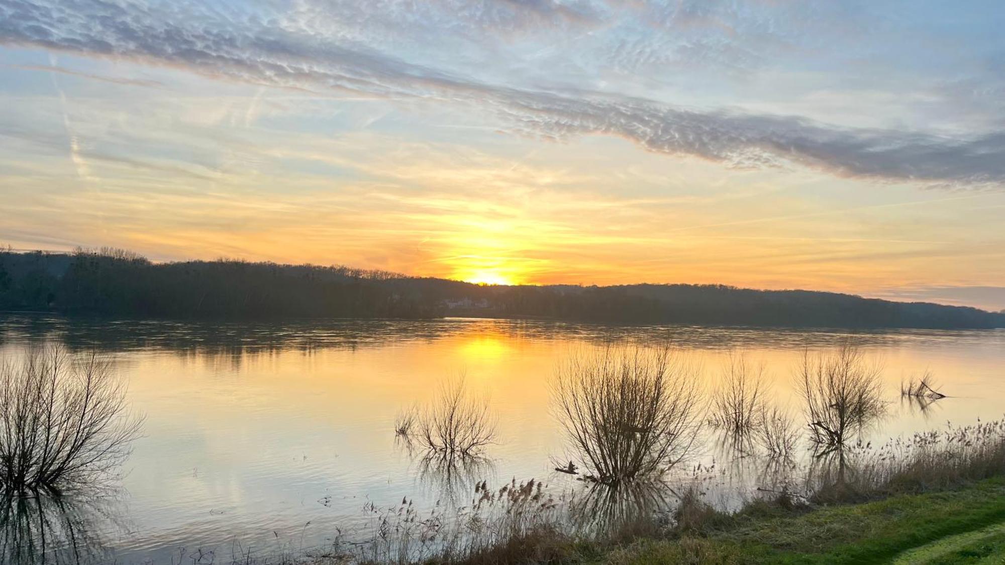 Un Mirage Tropical En Bord De Loire, Love Et Detente Saint-Clément-des-Levées Eksteriør bilde